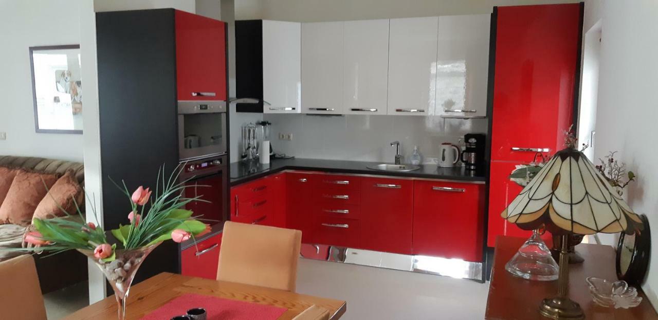 Casa Martin Βίλα Porumbacu de Sus Εξωτερικό φωτογραφία